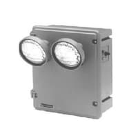 High Impact Enclosure Power Unit Emergency Light Series : ELKS